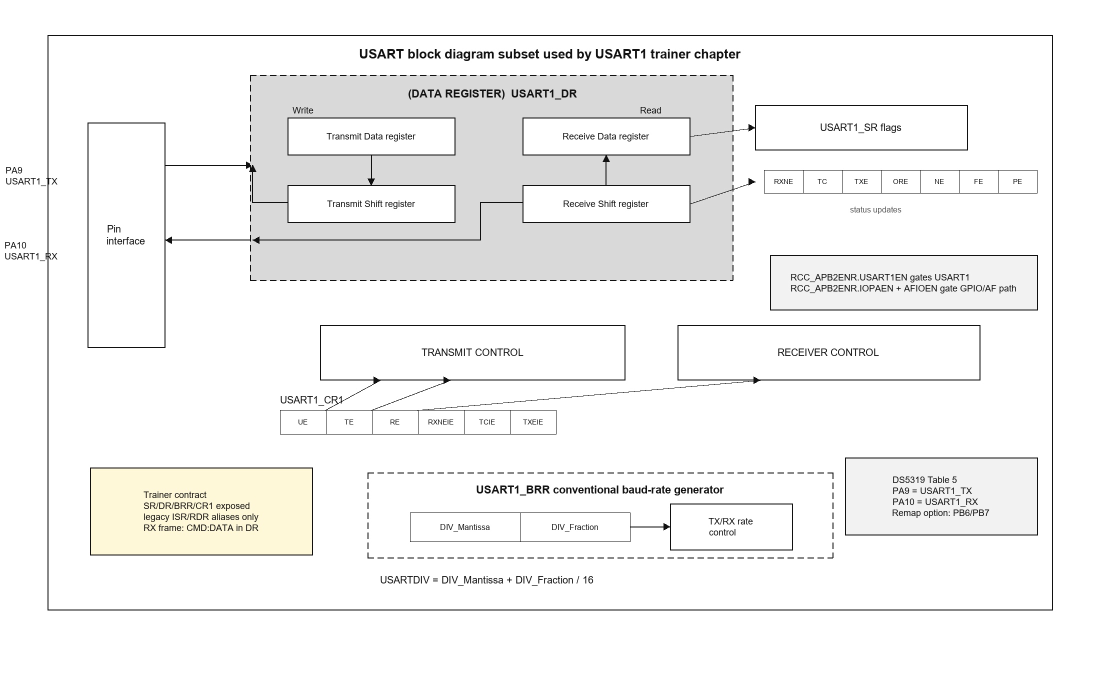 USART1 transmit and receive data path